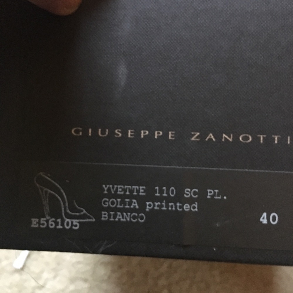 Giuseppe Zanotti - Picture 7 of 8